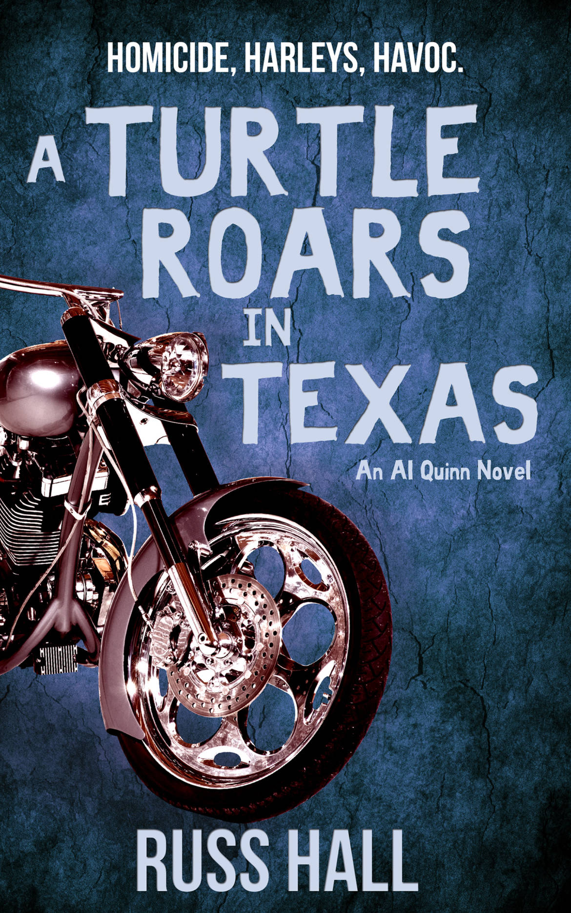 A-Turtle-Roars-in-Texas-2500x1563-Amazon-Smashwords-Kobo-Apple.jpg