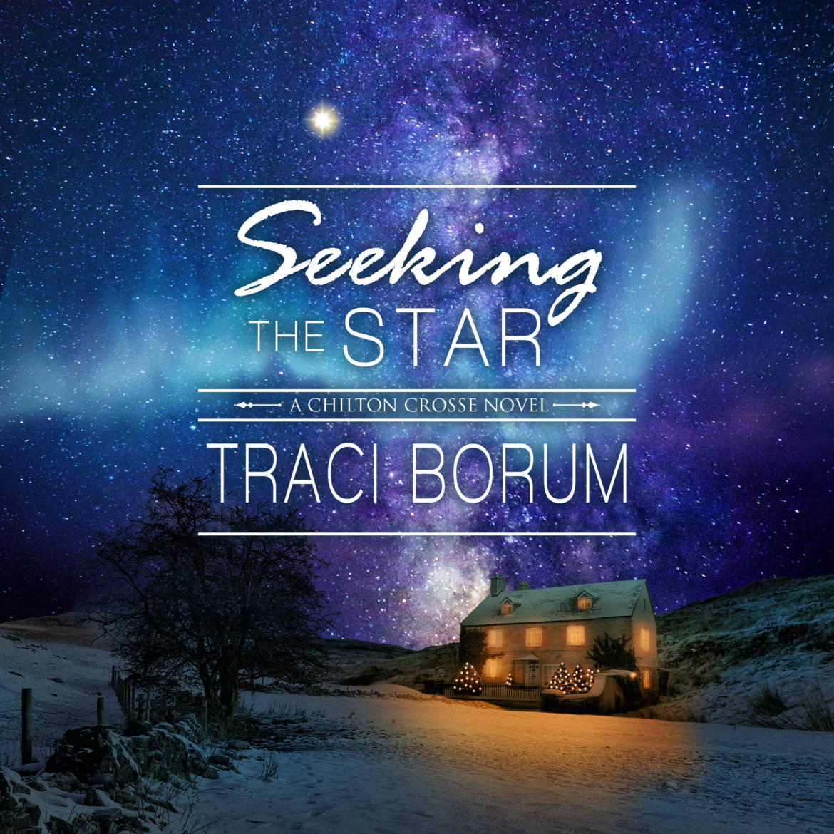 Seeking-The-Star-Audiobook.jpg